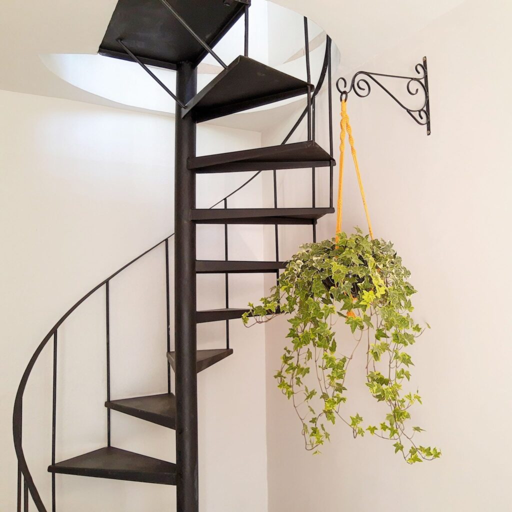 Decoração em aramado, suportes para vasos, artigos para floricultura, decoração interna e externa, e projetos personalizados em Curitiba.